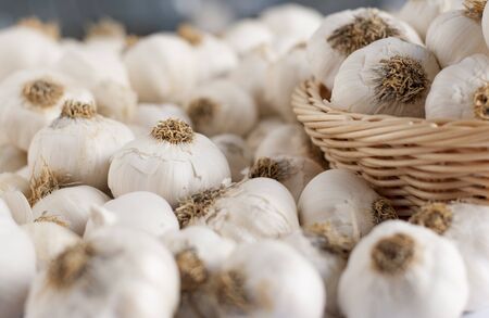 close up of garlic background.