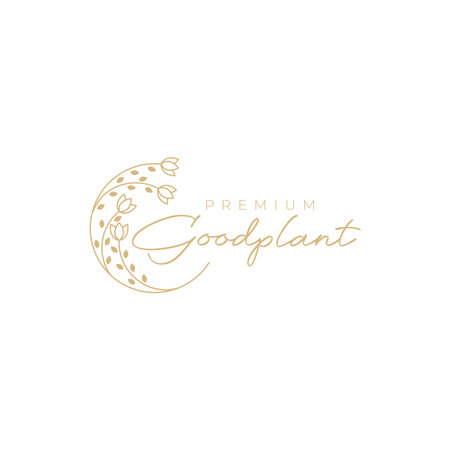 geometric lines leaves and flower feminine logo designのイラスト素材