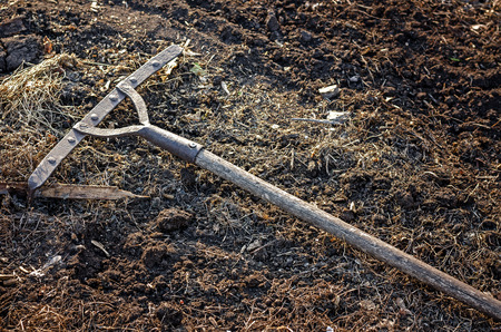 Rake Lying On The Ground In The Evening At Sunset.の写真素材