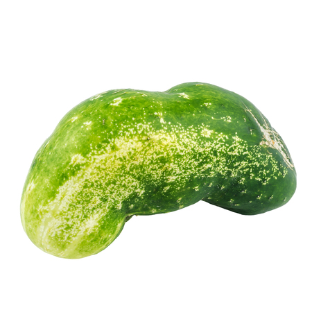Fresh Green Cucumber Isolated On White Background.の写真素材