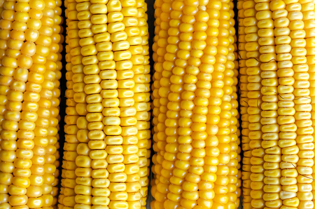 Fresh Corn. Small Depth Of Field. Macro.の写真素材