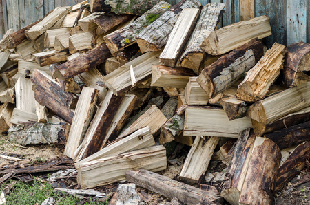 Many Scattered Wet Firewood.の写真素材