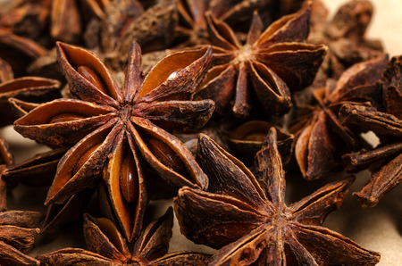 Badian Or Star Anise. Closeup. Macro.の写真素材