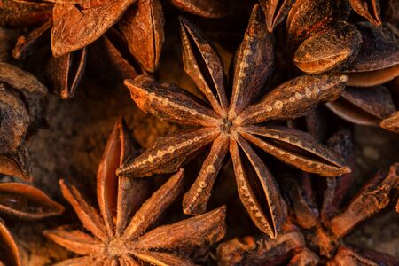 Badian Or Star Anise. Closeup. Macro.の写真素材