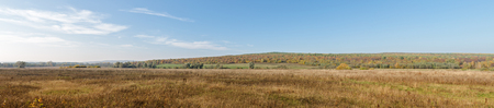 Landscape Panorama. Russian Field Overlooking The Forest With Autumn Colors And Blue Sky.の写真素材