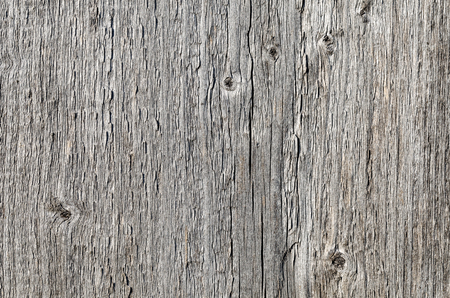 The Gray Wooden Board. Close-Up. Macro. Texture, Background Series.の写真素材