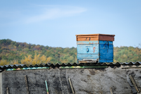 Wooden Beehive On The Roof Of A Barn On A Background Of Blue Sky And The Forest.の写真素材