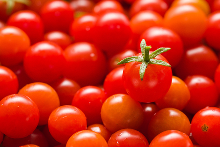Fresh Small Red Cherry Tomato. Shallow Depth Of Field. Close Up. Angle View. Background.の写真素材