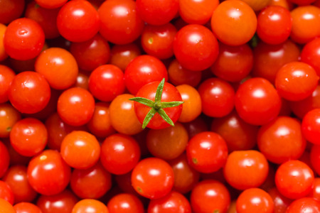 Fresh Small Red Cherry Tomato In The Center. Shallow Depth Of Field. Top View. Background. Horizontal Version.の写真素材