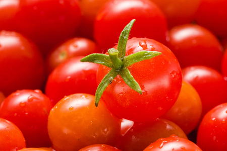 Fresh Small Red Cherry Tomato. Shallow Depth Of Field. Close Up. Macro.の写真素材