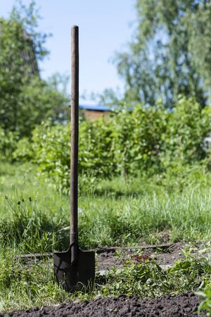A Shovel Stuck In The Ground In The Garden.の写真素材