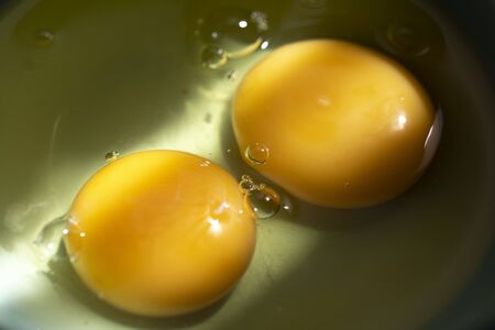 Two Egg Yolks In A Bowl On A Sunny Day. Close-Up. Macro.の写真素材