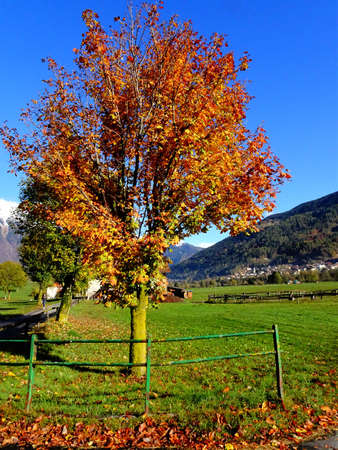 autumn countryside landscapeの写真素材