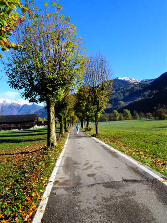 countryside avenueの写真素材