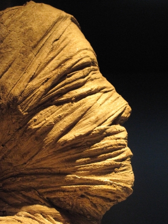 statue used in a cinematographic set horrorの写真素材