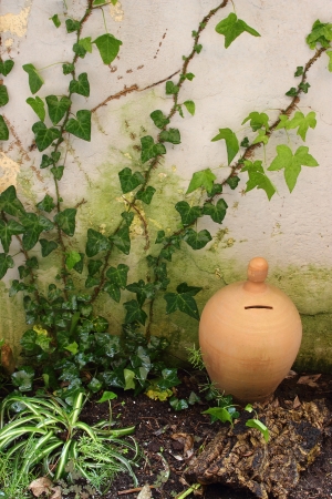Money box in the garden near growing plantの写真素材
