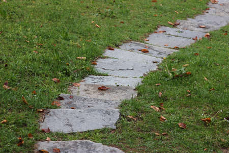 path in the gardenの写真素材