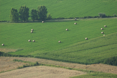 Tiber valley landscapeの写真素材