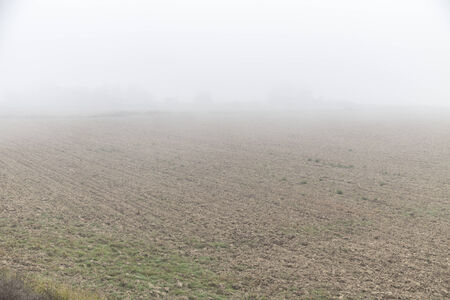 Mist on the clodsの写真素材