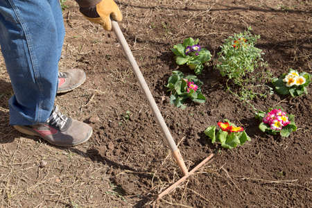 Gardener caring a flower badの写真素材
