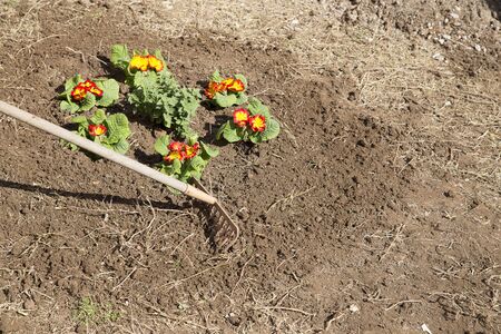 Gardener caring a flower badの写真素材