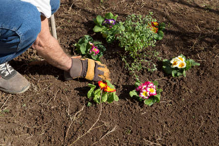 Gardener caring a flower badの写真素材