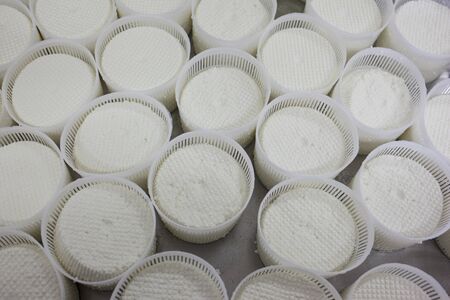 Ricotta cheeseの写真素材