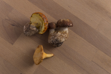 ovoli, porcino, chanterellesの写真素材