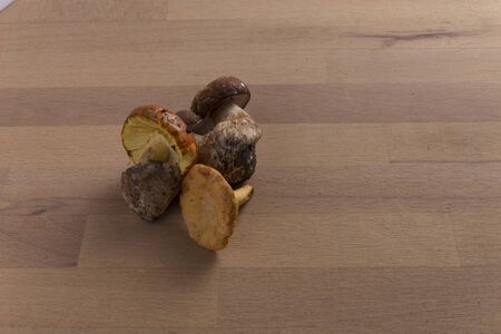 ovoli, porcino, chanterellesの写真素材
