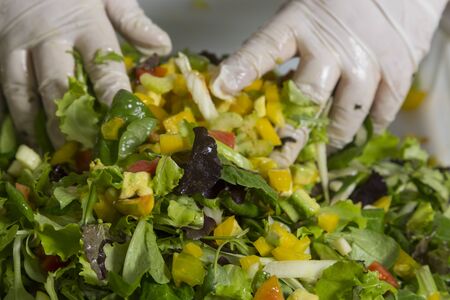 Mixing saladの写真素材