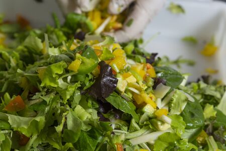 Mixing saladの写真素材