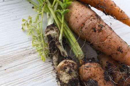 Raw carrots on wooden white background