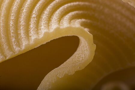 Lumaconi (big slugs) pasta from southern Italy tradition - macro detailの写真素材