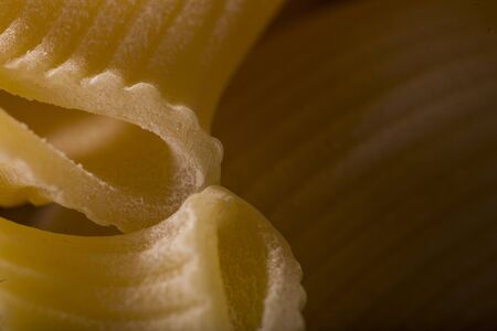 Lumaconi (big slugs) pasta from southern Italy tradition - macro detail