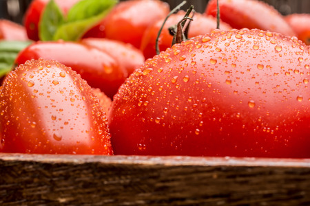 Macro Shot Of Tomatoes With Water Dropsの写真素材