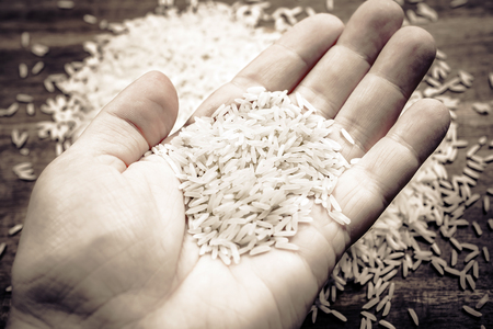 Male Hand Holding A Bunch Of Rice, Monochrome Colorsの写真素材