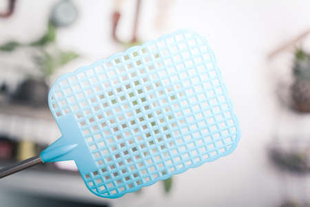 Fly Swatter Is Going To Squash An Insectの写真素材