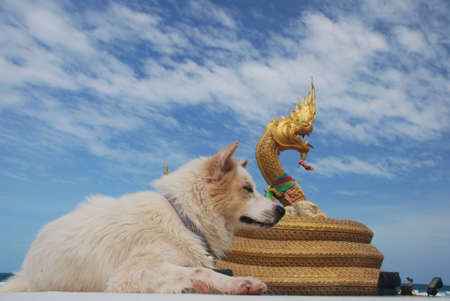 Two centurians look over the Karon Beach, Phuket.の写真素材