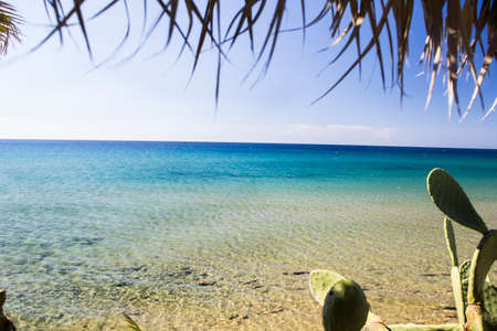 View from the edge of the coastlineの写真素材