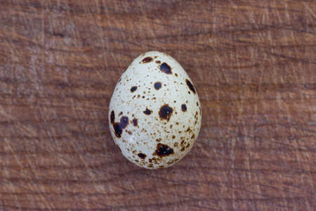 quail eggsの写真素材