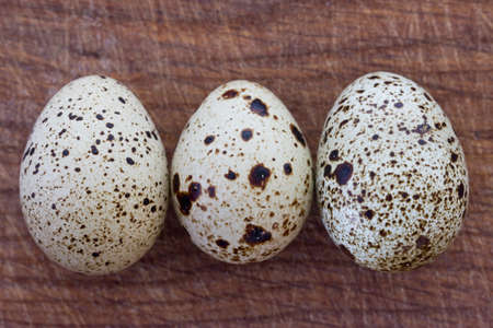 quail eggsの写真素材