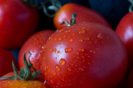 fresh tomatoes on the tableの写真素材