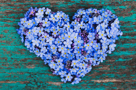 spring flowers