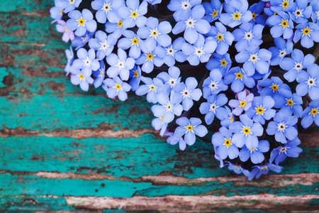 spring flowers