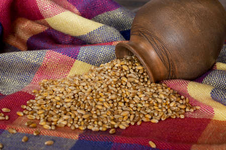 a handful of wheat on the tableの写真素材