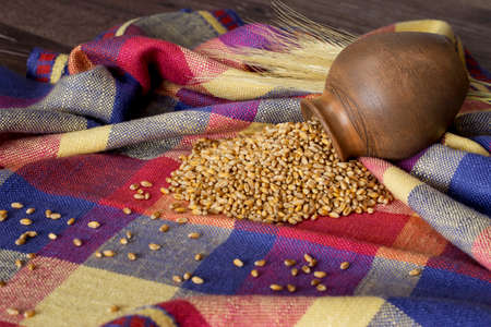 a handful of wheat on the tableの写真素材