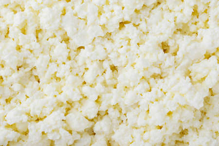 the all background of a cottage cheeseの写真素材
