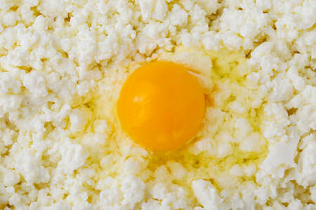 egg yolk on a background of cottage cheeseの写真素材