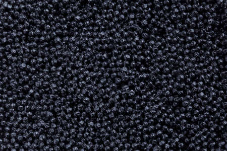 the background from a black fish eggs