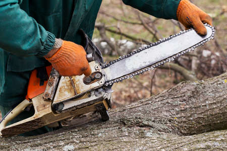 chainsaw in a hand of the lumberjack